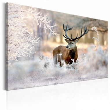 Quadro - Deer in the Cold - 90x60