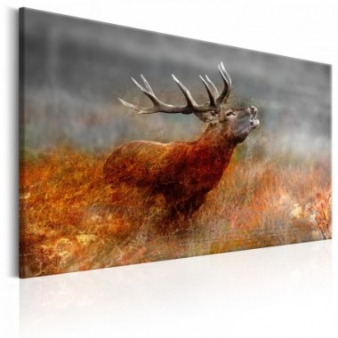 Quadro - Roaring Deer - 120x80