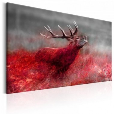 Quadro - Bloody Field - 90x60