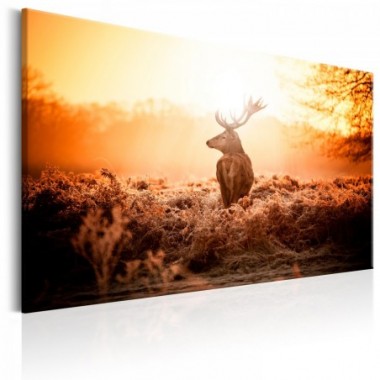 Quadro - Deer in the Sun - 120x80