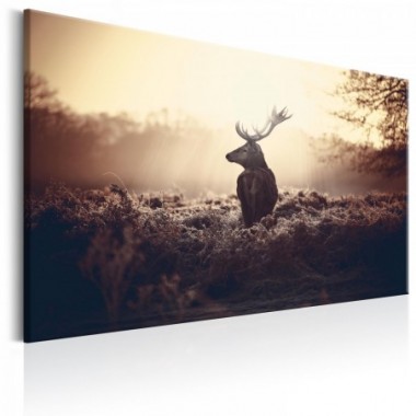 Quadro - Lurking Deer - 120x80