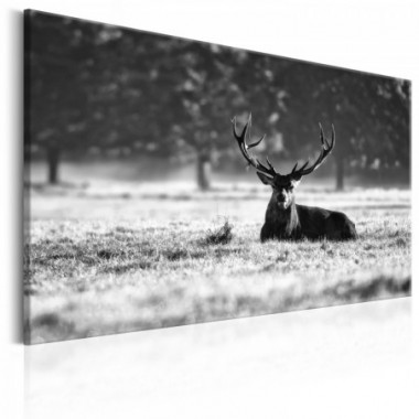 Quadro - Lying Deer - 90x60