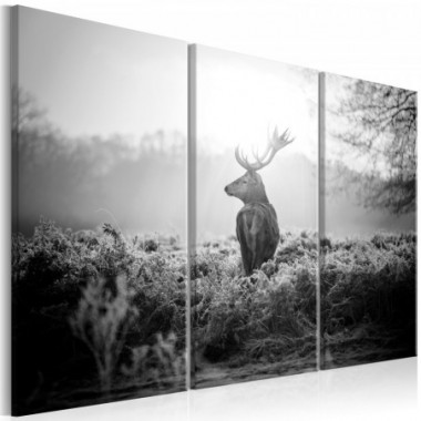 Quadro - Black and White Deer I - 90x60