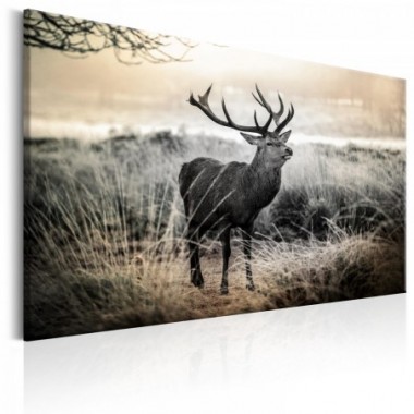 Quadro - Dangerous Horns - 120x80