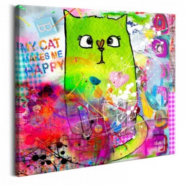 Quadro - Crazy Cat - 40x40