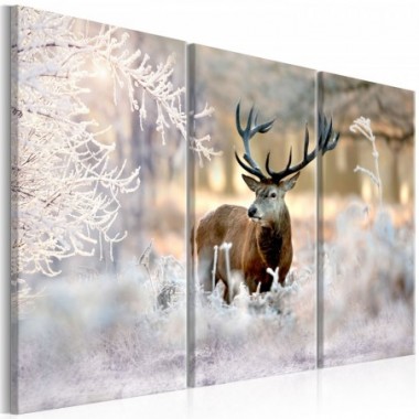 Quadro - Deer in the Cold I - 90x60