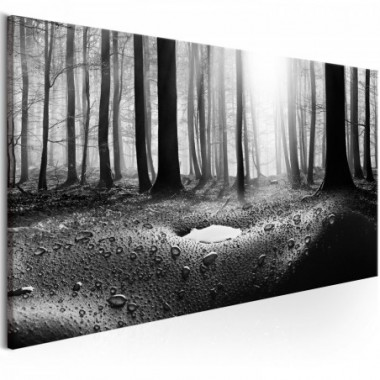 Quadro - Forest after Rain (1 Part) Narrow - 135x45