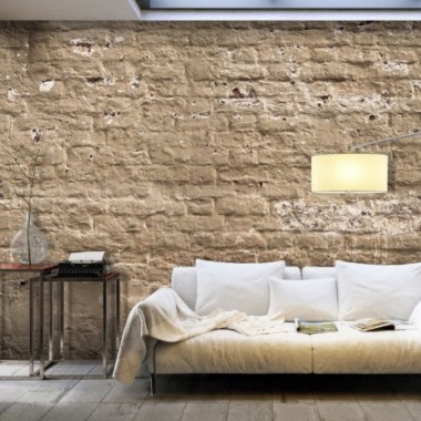 Fotomurale - Urban Oasis - 250x175