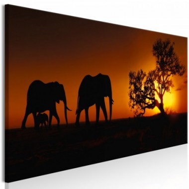 Quadro - Elephant Family (Orange) - 150x50