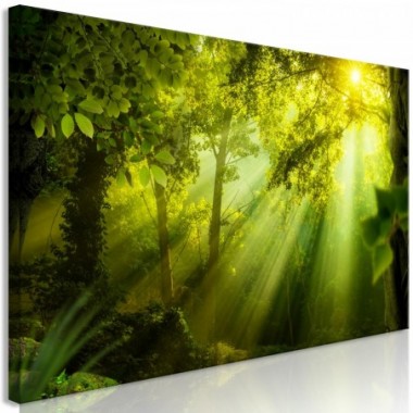 Quadro - In the Sunshine (1 Part) Narrow - 150x50