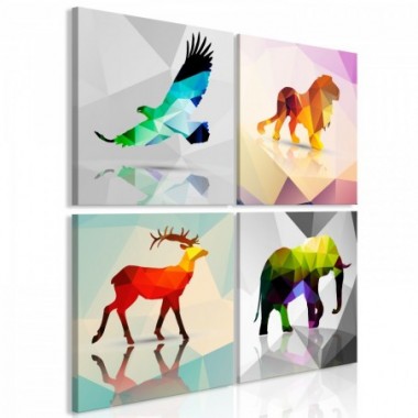 Quadro - Colourful Animals (4 Parts) - 80x80
