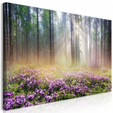 Quadro - Purple Meadow (1 Part) Wide - 120x60