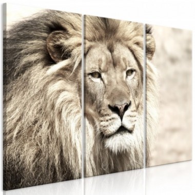 Quadro - The King of Beasts (3 Parts) Beige - 90x60