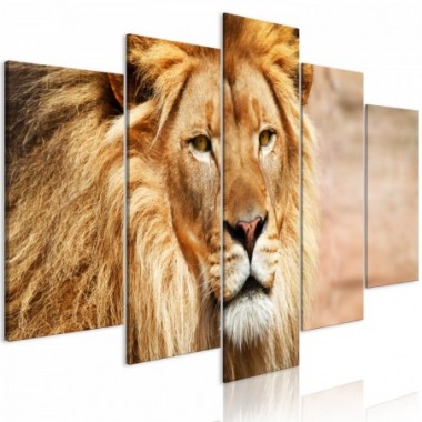 Quadro - The King of Beasts (5 Parts) Wide Orange -...