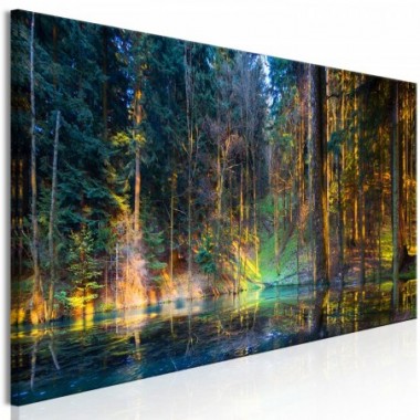 Quadro - Pond in the Forest (1 Part) Narrow - 150x50