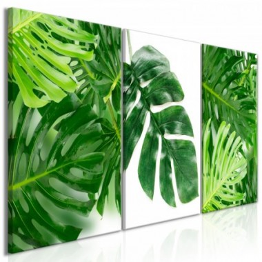 Quadro - Palm Leaves (3 Parts) - 120x60