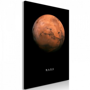 Quadro - Mars (1 Part) Vertical - 40x60