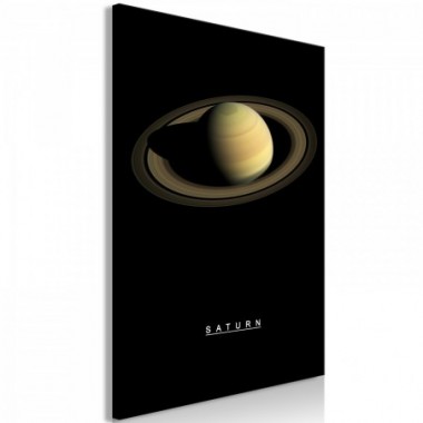 Quadro - Saturn (1 Part) Vertical - 40x60