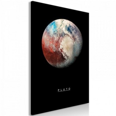 Quadro - Pluto (1 Part) Vertical - 60x90