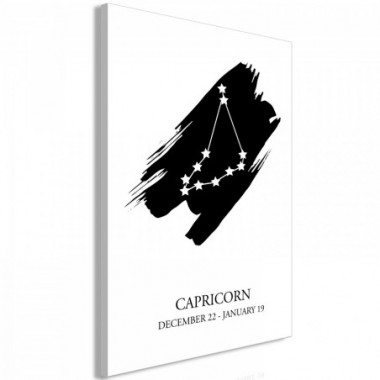 Quadro - Zodiac Signs: Capricorn (1 Part) Vertical -...