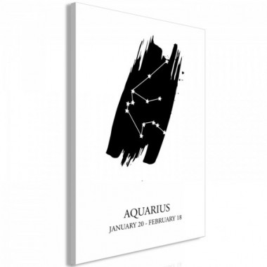 Quadro - Zodiac Signs: Aquarius (1 Part) Vertical -...