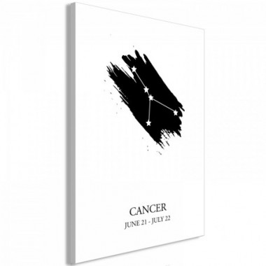 Quadro - Zodiac Signs: Cancer (1 Part) Vertical - 60x90