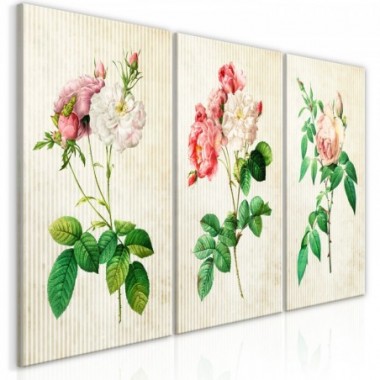Quadro - Floral Trio (Collection) - 120x60