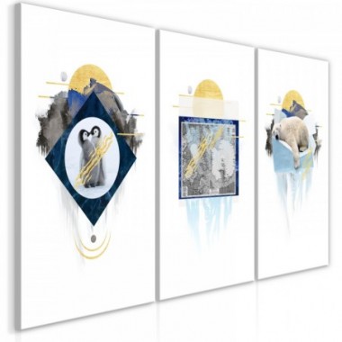 Quadro - Antarctica (Collection) - 120x60