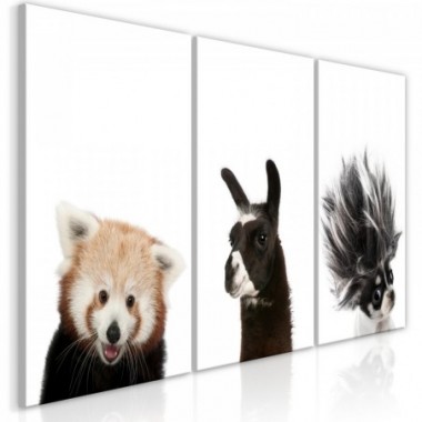 Quadro - Friendly Animals (Collection) - 60x30