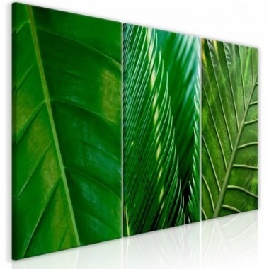 Quadro - Leaves (Collection) - 120x60
