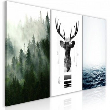 Quadro - Chilly Nature (Collection) - 120x60