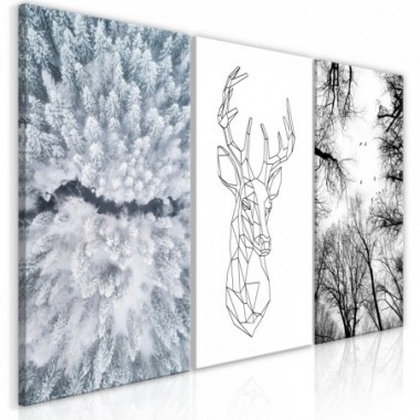 Quadro - Deers Life (Collection) - 60x30