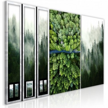 Quadro - Forest (Collection) - 60x30