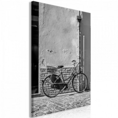 Quadro - Old Italian Bicycle (1 Part) Vertical - 40x60