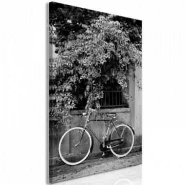 Quadro - Bicycle and Flowers (1 Part) Vertical - 80x120