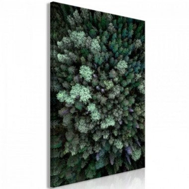 Quadro - Flying Over Forest (1 Part) Vertical - 60x90