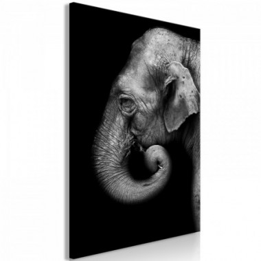 Quadro - Portrait of Elephant (1 Part) Vertical - 60x90