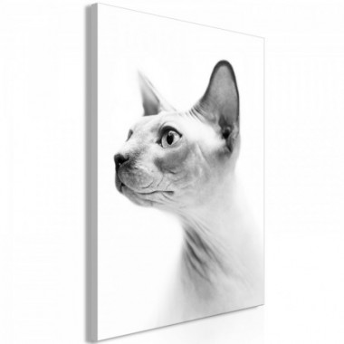 Quadro - Hairless Cat (1 Part) Vertical - 40x60