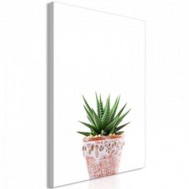 Quadro - Succulents In Pot (1 Part) Vertical - 40x60