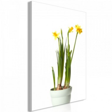 Quadro - Narcissus (1 Part) Vertical - 40x60