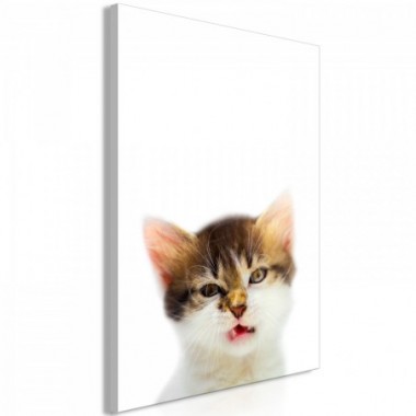 Quadro - Vexed Cat (1 Part) Vertical - 60x90