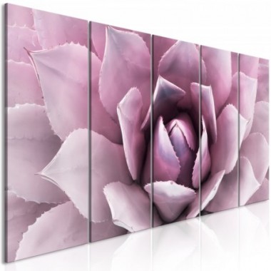 Quadro - Agave (5 Parts) Narrow Pink - 200x80