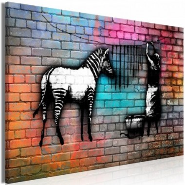 Quadro - Washing Zebra - Colourful Brick (1 Part)...
