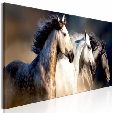 Quadro - Sons of the Wind (1 Part) Narrow - 120x40