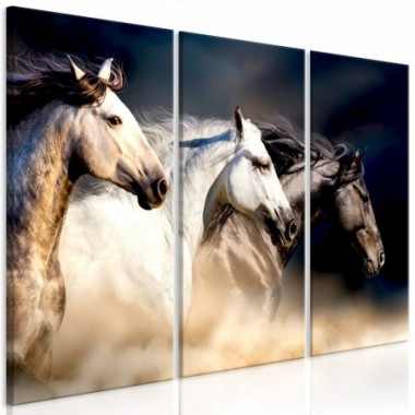 Quadro - Sons of the Wind (3 Parts) - 90x60