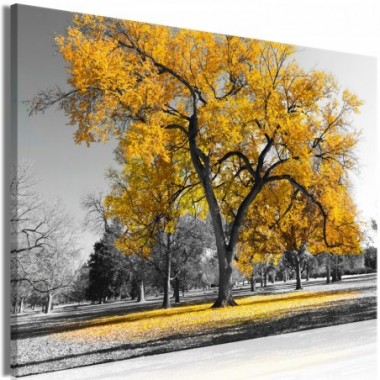 Quadro - Autumn in the Park (1 Part) Wide Gold - 120x80
