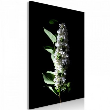 Quadro - White Lilacs (1 Part) Vertical - 80x120