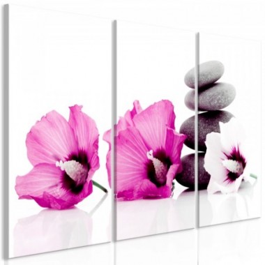 Quadro - Calm Mallow (3 Parts) Pink - 120x80