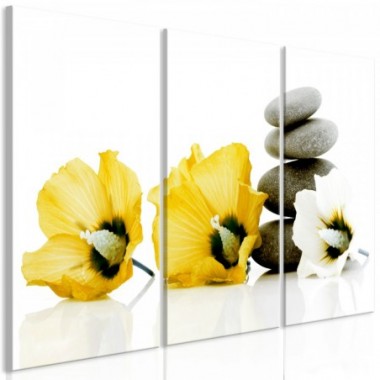 Quadro - Calm Mallow (3 Parts) Yellow - 90x60