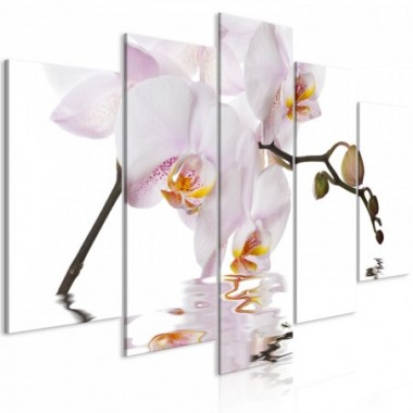 Quadro - Delightful Orchid (5 Parts) Wide - 200x100